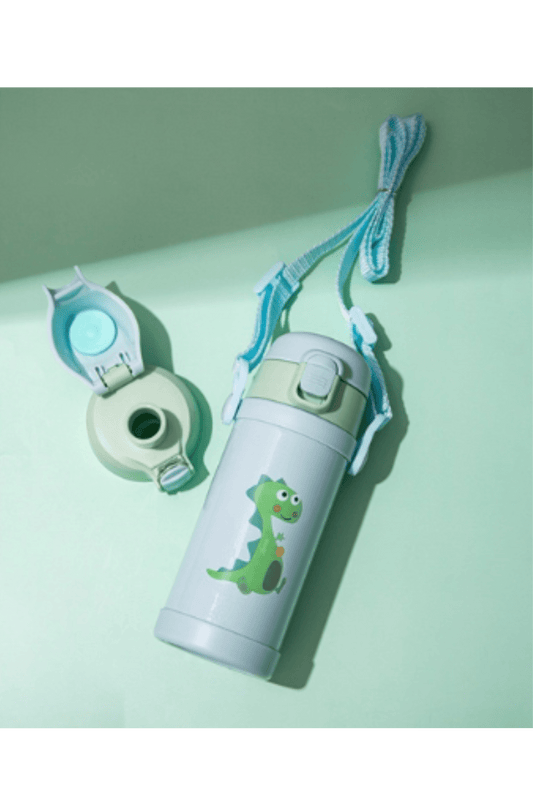 Stainless Steel Insulated Water Bottle - frosty - fun store