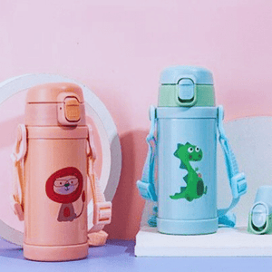 Stainless Steel Insulated Water Bottle - frosty - fun store