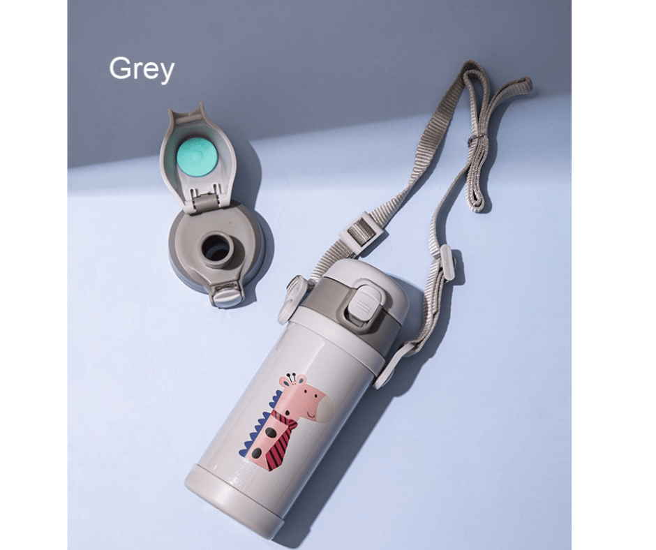 Stainless Steel Insulated Water Bottle - frosty - fun store