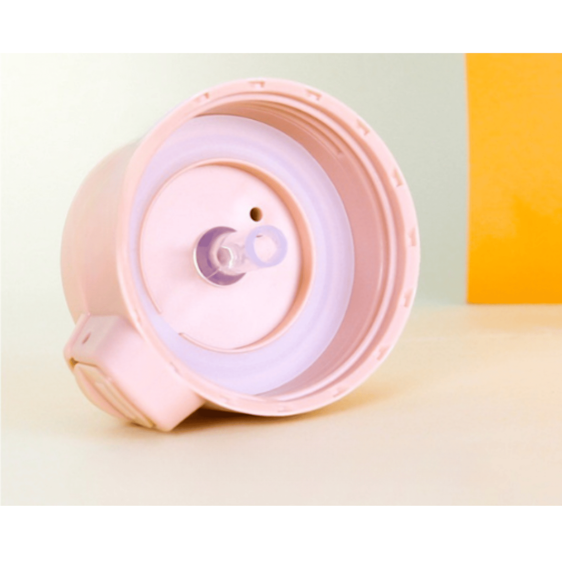 Stainless Steel Insulated Water Bottle - frosty - fun store