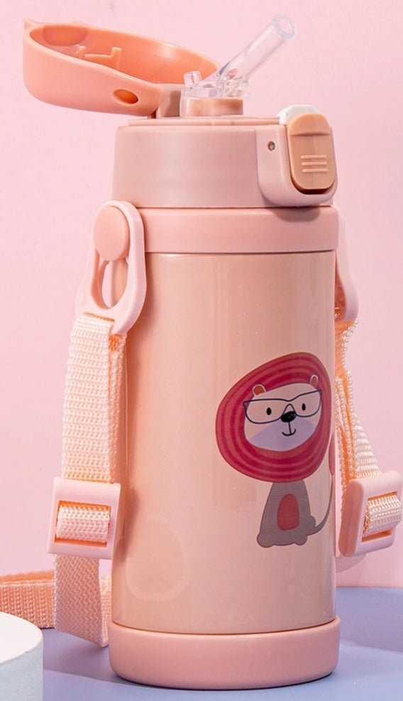 Stainless Steel Insulated Water Bottle - frosty - fun store